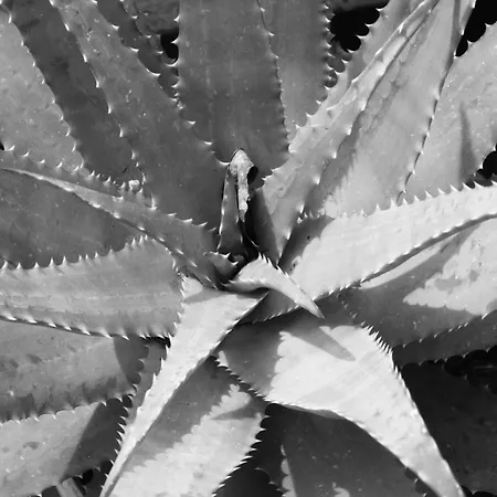 L'antico Borgo 레반토