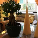 Bed & Breakfast L'antico Borgo 4*