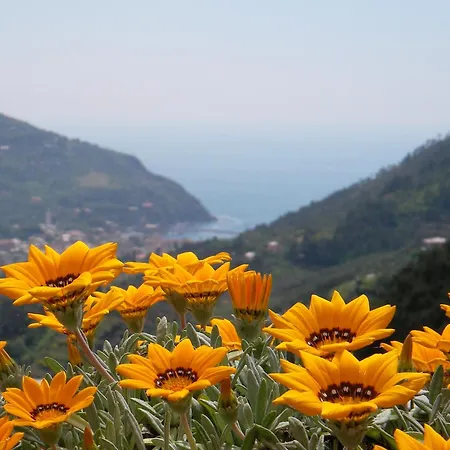 Panzió L'antico Borgo Levanto