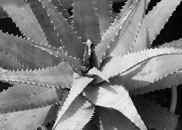 L'antico Borgo Levanto